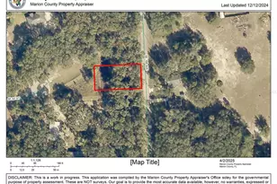 0 SE 168th Ave, Ocklawaha, FL 32179 - Photo 1