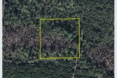 Off Sun Garden Rd, Palatka, FL 32177 - Photo 4