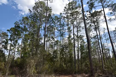 Off Sun Garden Rd, Palatka, FL 32177 - Photo 2