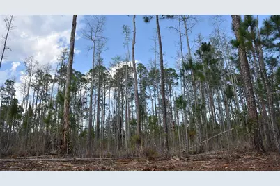 Off Sun Garden Rd, Palatka, FL 32177 - Photo 18