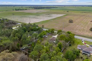 8055 SW 140th Ave, Dunnellon, FL 34432 - Photo 74