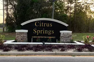 10060 N Carver Dr, Citrus Springs, FL 34434 - Photo 14