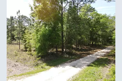 Sw 29 Lane, Ocala, FL 34481 - Photo 2