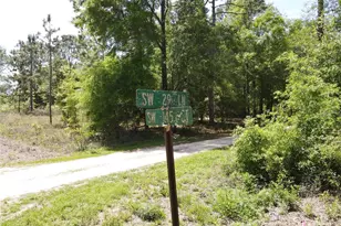 SW 29 Ln, Ocala, FL 34481 - Photo 1
