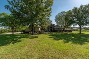 5363 NW 153rd Ct, Morriston, FL 32668 - Photo 4