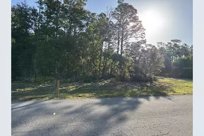 0 SW 49th Lane, Ocala, FL 34473 - Photo 4