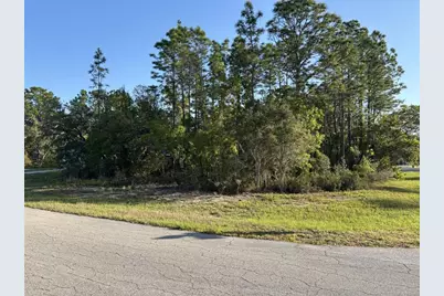 0 SW 49th Lane, Ocala, FL 34473 - Photo 1