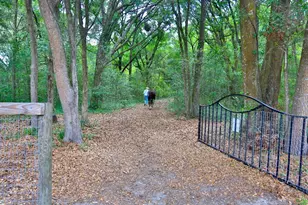 10925 SW 16th Ave, Ocala, FL 34476 - Photo 76