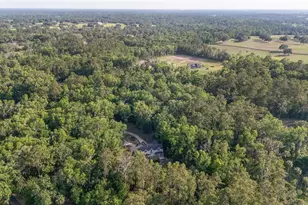 1251 SW 43rd Pl, Ocala, FL 34471 - Photo 82