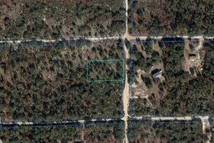 NE 100th Ave, Bronson, FL 32621 - Photo 1