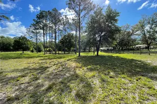 1550 SE 111 Ct, Morriston, FL 32668 - Photo 42