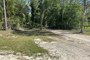 1550 SE 111 Ct, Morriston, FL 32668 - Photo 54