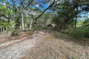 1550 SE 111 Ct, Morriston, FL 32668 - Photo 56