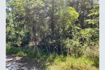 0000 NE 66th Avenue, Citra, FL 32113 - Photo 2