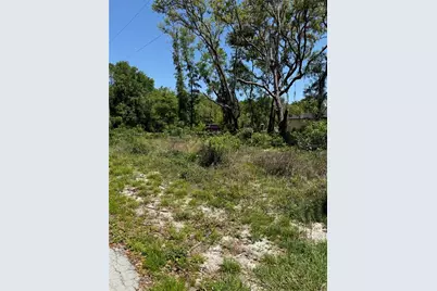 Tbd Locust Drive Trail, Ocala, FL 34472 - Photo 6