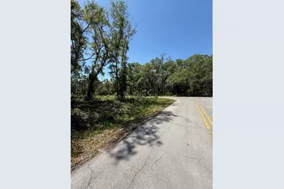 Tbd Locust Drive Trail, Ocala, FL 34472 - Photo 12