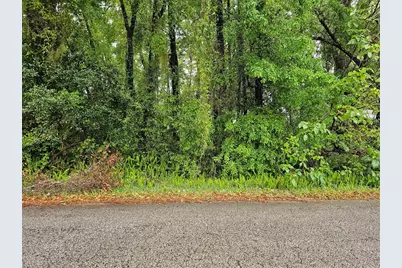 00 NW 55 Avenue, Ocala, FL 34482 - Photo 1