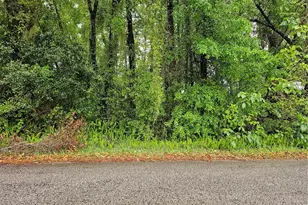 00 NW 55 Ave, Ocala, FL 34482 - Photo 1