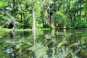 2778 W Cypress Dr, Dunnellon, FL 34433 - Photo 46