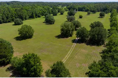 11420 NW 110th Avenue, Reddick, FL 32686 - Photo 4