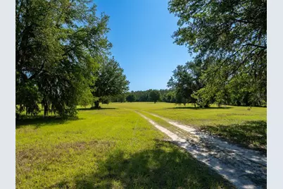 11420 NW 110th Avenue, Reddick, FL 32686 - Photo 2