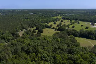 11420 NW 110th Ave, Reddick, FL 32686 - Photo 18