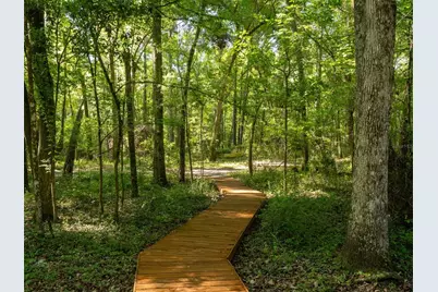 11420 NW 110th Avenue, Reddick, FL 32686 - Photo 8