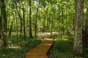 11420 NW 110th Ave, Reddick, FL 32686 - Photo 8