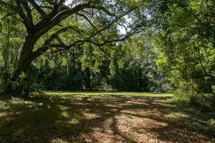 11420 NW 110th Ave, Reddick, FL 32686 - Photo 6