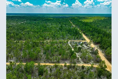 Lime Way, Interlachen, FL 32148 - Photo 4