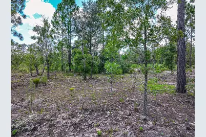 Lime Way, Interlachen, FL 32148 - Photo 6