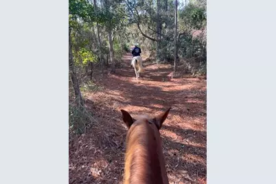 4658 W Hacienda Drive, Beverly Hills, FL 34465 - Photo 50