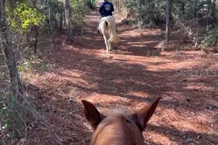 4658 W Hacienda Dr, Beverly Hills, FL 34465 - Photo 50