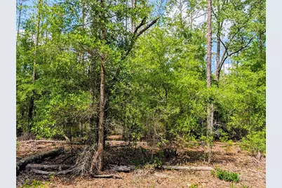 Tbd SW 93rd Lane, Dunnellon, FL 34431 - Photo 2