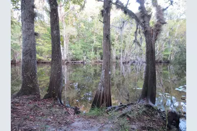 11921 SE 169th Avenue Road, Ocklawaha, FL 32179 - Photo 48