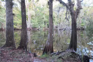 11921 SE 169th Ave Rd, Ocklawaha, FL 32179 - Photo 48