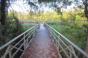 11921 SE 169th Ave Rd, Ocklawaha, FL 32179 - Photo 52