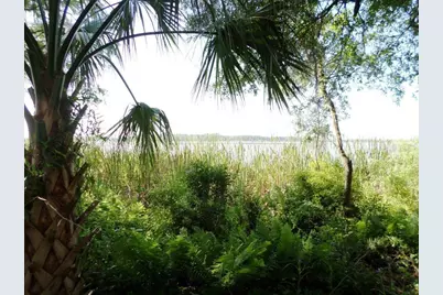 10150 Highway 40  E, Inglis, FL 34449 - Photo 6