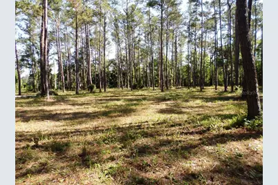 10150 Highway 40  E, Inglis, FL 34449 - Photo 10