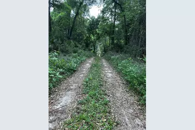 Tbd NW 123rd Place, Citra, FL 32113 - Photo 2