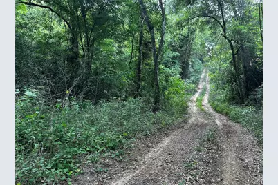 Tbd NW 123rd Place, Citra, FL 32113 - Photo 4