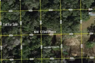 Tbd NW 123rd Pl, Citra, FL 32113 - Photo 1