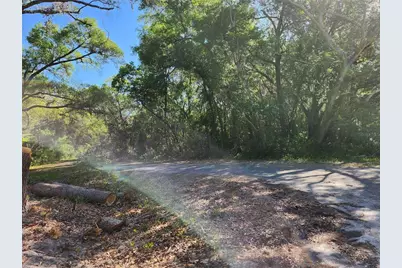 Tbd Guava Terr Loop, Ocklawaha, FL 32179 - Photo 2