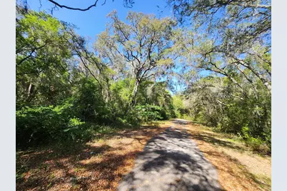 Tbd Guava Terr Loop, Ocklawaha, FL 32179 - Photo 4