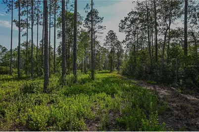 Ne 150th Ave Road #LOT 1, Fort Mc Coy, FL 32134 - Photo 32