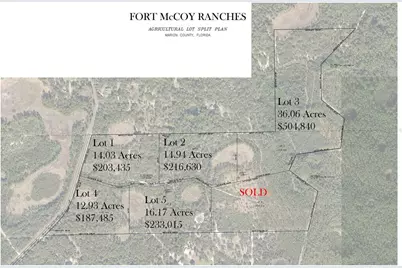 Ne 150th Ave Road #LOT 1, Fort Mc Coy, FL 32134 - Photo 2