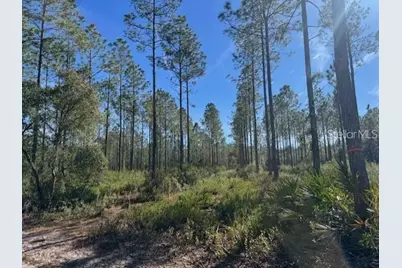 Ne 150th Ave Road #LOT 1, Fort Mc Coy, FL 32134 - Photo 16