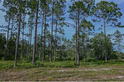 Ne 150th Ave Road #LOT 1, Fort Mc Coy, FL 32134 - Photo 28