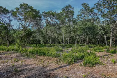 Ne 150th Ave Road #LOT 1, Fort Mc Coy, FL 32134 - Photo 30