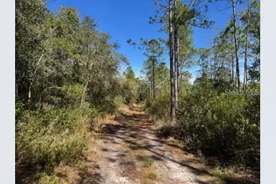 Ne 150th Ave Road #LOT 1, Fort Mc Coy, FL 32134 - Photo 18